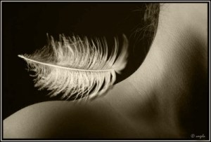 caricia-7048ee6d-fb1c-4ae6-9fb6-b3f842f34f97